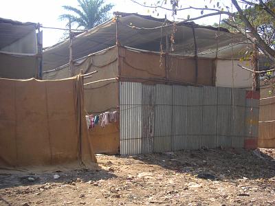 Les baraquements (vus par derrière)